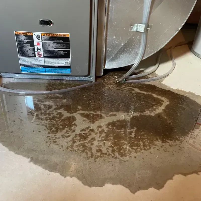 Appliance Leak Cleanup in Lutz, FL